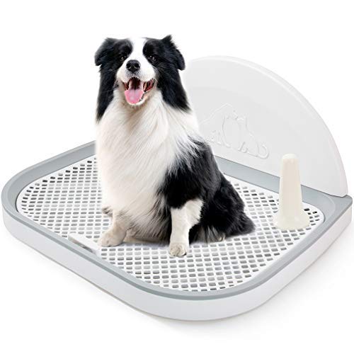 HIPIPET Puppy Dog Potty Tray