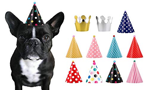 CBM Dog Party Hat Set - Dog Birthday Party