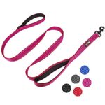 Heavy Duty Double Handles Leash for Control Safety Training