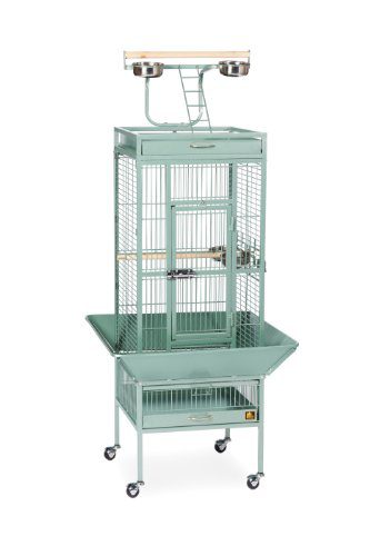 Prevue Hendryx Pet Products Wrought Iron Select Cage