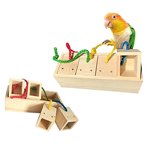 Parrots Sun Conures, Caique, Cockatoo Toy Bird Training