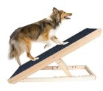 Best Companions Durable Wood Ramps