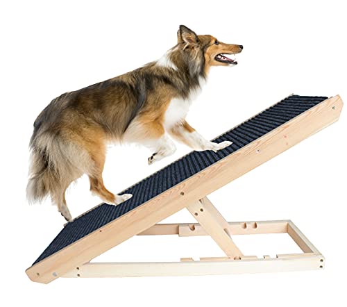 Best Companions Durable Wood Ramps