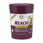 Horse Health Reach Joint Supplement for Horses