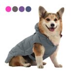 Dog Padded Coat Detachable Hoodie