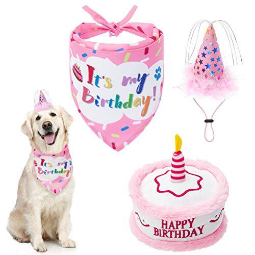 Cute Hat and Squeaky Cake Toy Dog Birthday Bandana Set