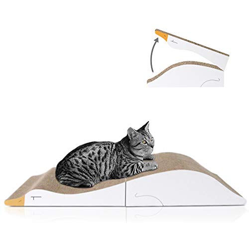 MSBC Cardboard Cat Scratcher