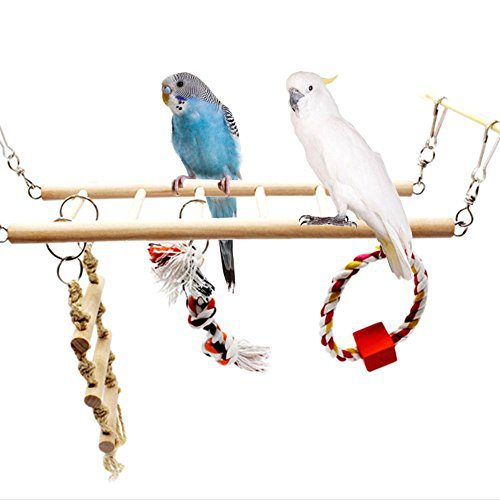 Hypeety Bird Cage Parrot Toys Wood Perch Climbing