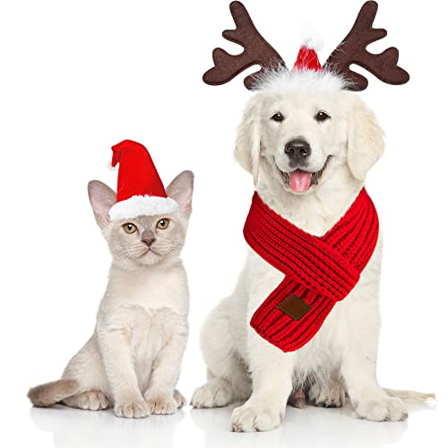 3 Pieces Christmas Pet Costume Dog Santa Hat