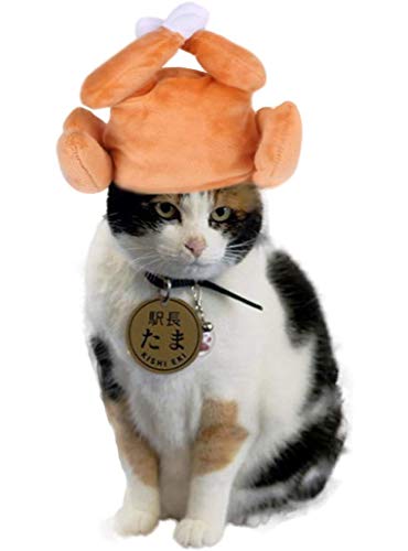RAINDEWLL Dog Turkey Hat Thanksgiving Hat