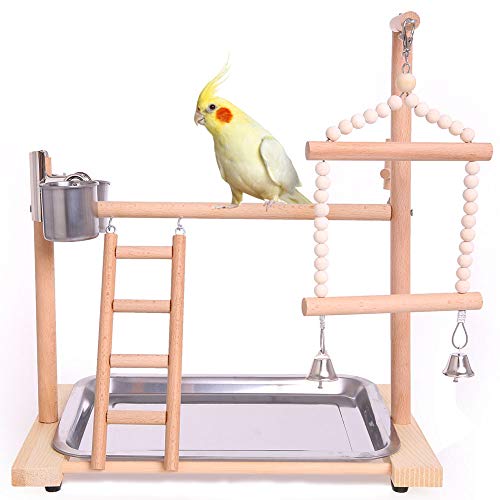 Parrot Bird Playground Birdcage