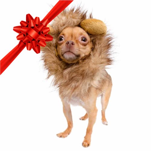 Pet Krewe Dog Lion Mane Halloween Costume