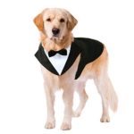 Wedding Dog Suit and Bandana Set