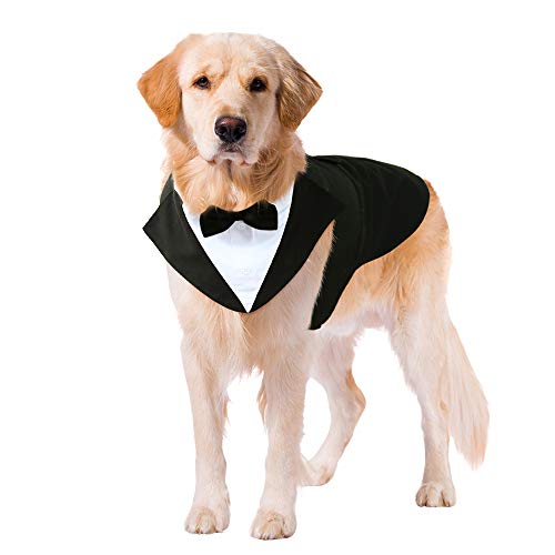 Wedding Dog Suit and Bandana Set