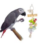 Hypeety Bird Chew Toy Calcium Teeth Grinding Stone