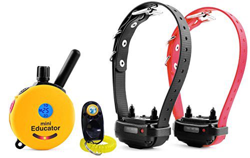 Half a Mile Remote Waterproof Two Dog Trainer Mini Educator