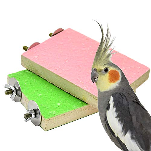 2 Pack Colorful Bird Perch Stand Platform Natural Wood