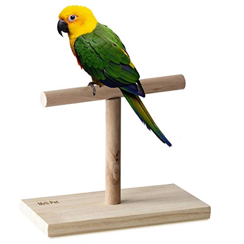Mrli Pet Play Stand for Birds-Parrot Playstand