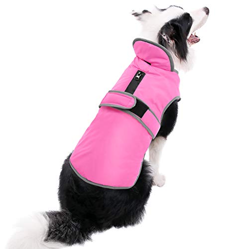t Cold Weather Warm Dog Jacket Reversible Stormguard