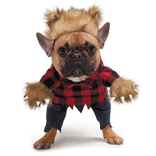 X-Small Werewolf Costume for Dogs