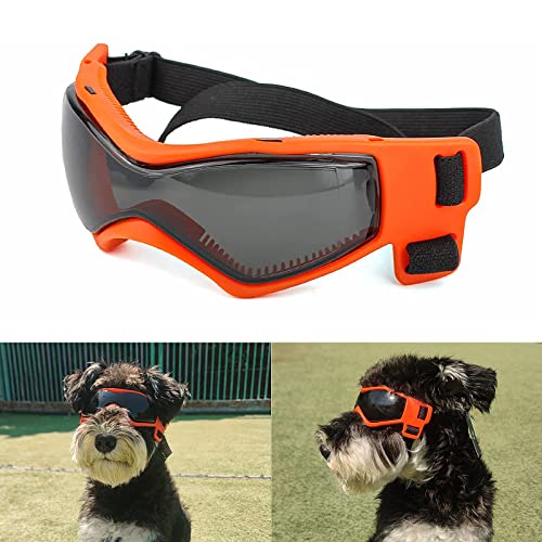 Enjoying Small Dog Sunglasses UV Protection
