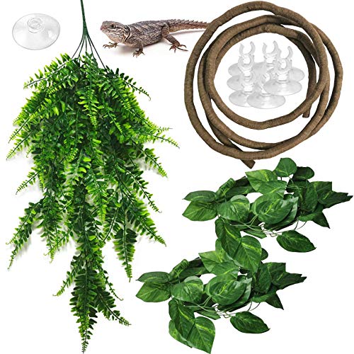 kathson Reptile Plants Hanging Terrarium Plant