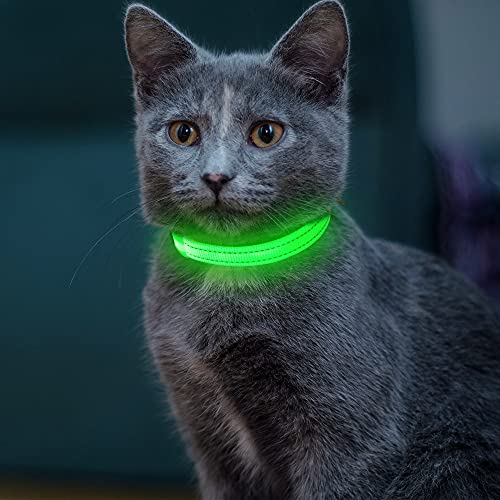 USB Rechargeable Dogs and Cats Led Dog Collar