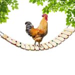 Natural Wood Chicken Ladder Chicken Swing Chicken