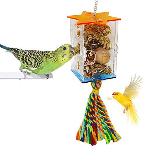 Creative Parrot Feeder Toy Intelligence Growth Cage