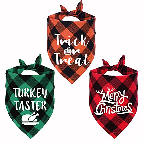 Halloween Thanksgiving Day Christmas Trick or Treat Turkey