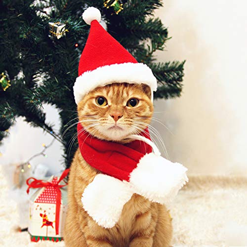 PETLESO Cat Santa Hat with Scarf -Christmas Costume Set