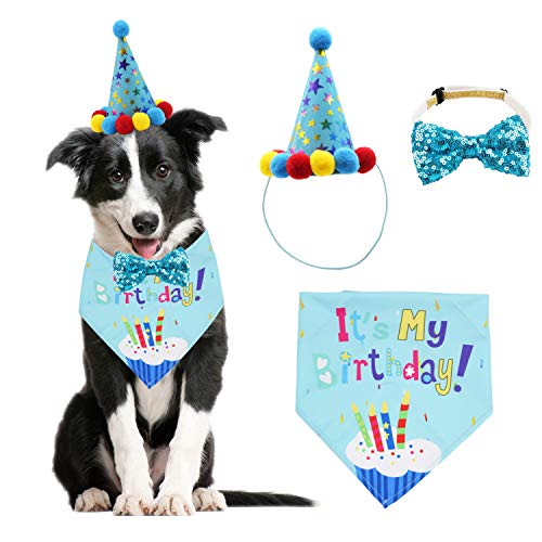 Dog Birthday Bandana Scarf and Dog Girl Boy