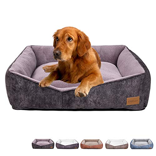 Coohom Rectangle Washable Dog Bed