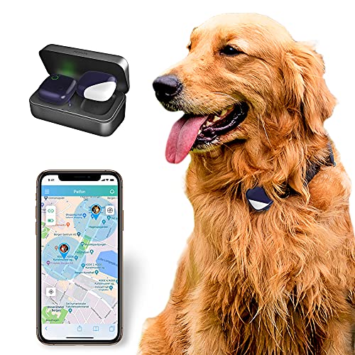 Pet GPS Tracker For Dogs And Pets Activity Monitor
