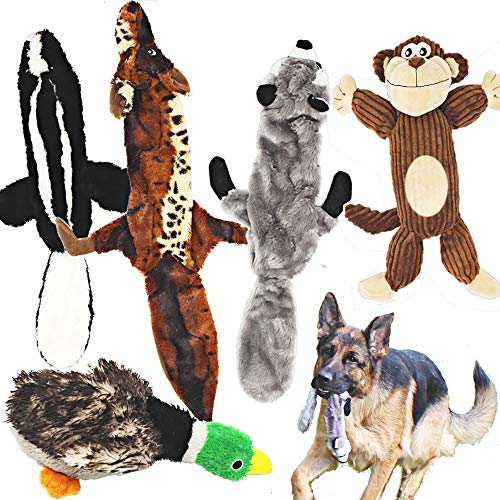 Jalousie 5 Pack Dog Squeaky Toys