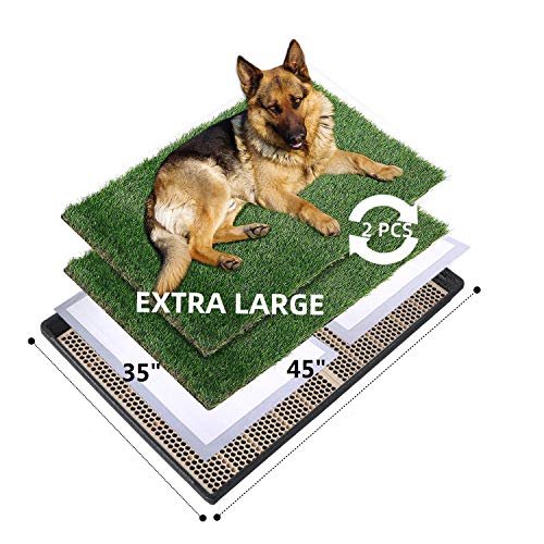 Rapid Drainage Pee Pads for Dogs with Tray