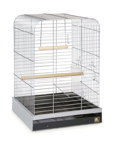 Prevue Pet Products 125C Parrot Cage