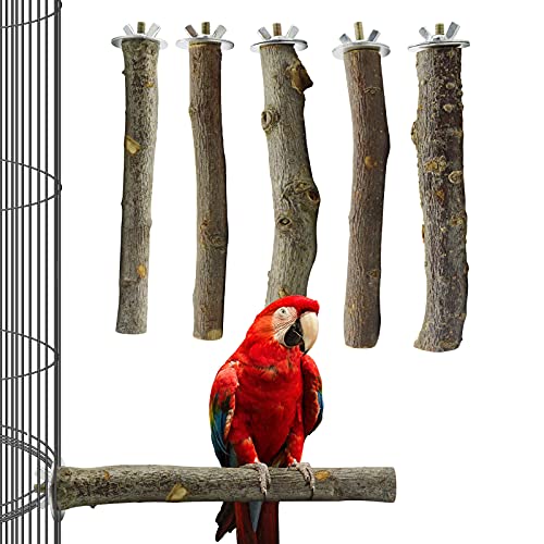 Natural Wooden Standing Toys Paw Grinding Sticks Bird Cage