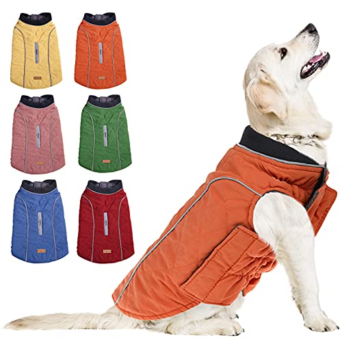 Brave the Cold: The Windproof Dog Cold Weather Coat