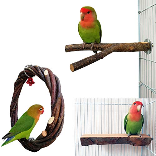 Parrot Swing Toys Natural Fruit Wood Circle Ring Parakeet