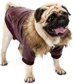 GabeFish Pets PU Leather Fashion Fur Collar Hoody