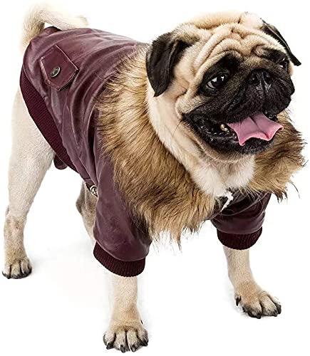 GabeFish Pets PU Leather Fashion Fur Collar Hoody