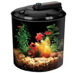 BettaView 1.5-Gallon Aquarium