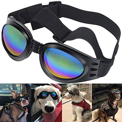 QUMY Dog Goggles Eye Wear Protection Waterproof