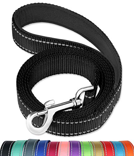 FunTags 6FT Reflective Dog Leash with Soft Padded Handle