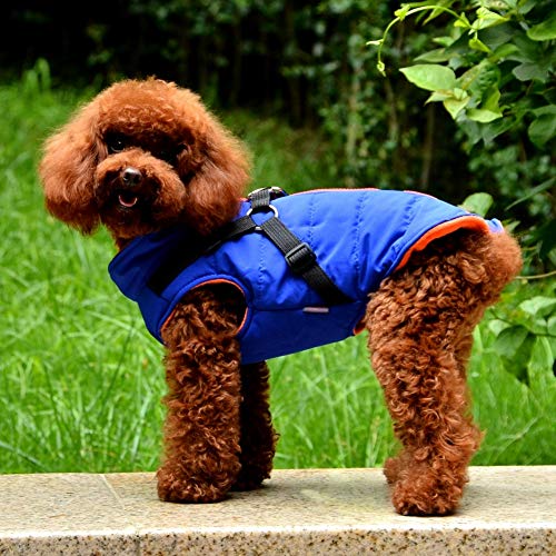 Norbi Pet Warm Jacket Small Dog Vest Review