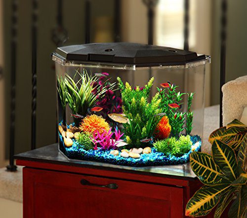 LED Lighting Smart Tank 6.5-Gallon Aquarium