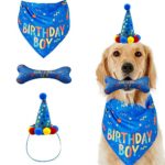 Dog Birthday Boy Bandana Hat Toy Set Pet