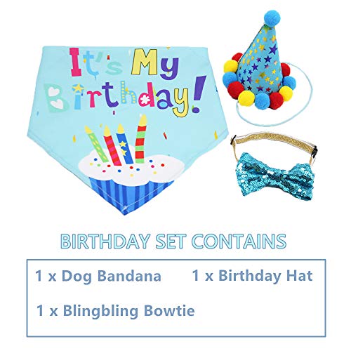 Dog Birthday Bandana Scarf and Dog Girl Boy Review