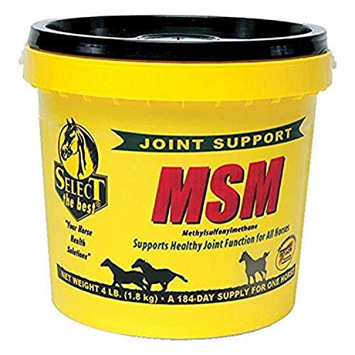 RICHDEL Msm Powder Joint Support for Horses